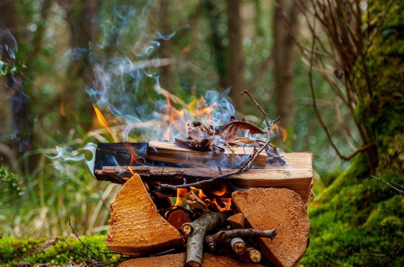 giornata-survival---alla-scoperta-dellessenziale!_54